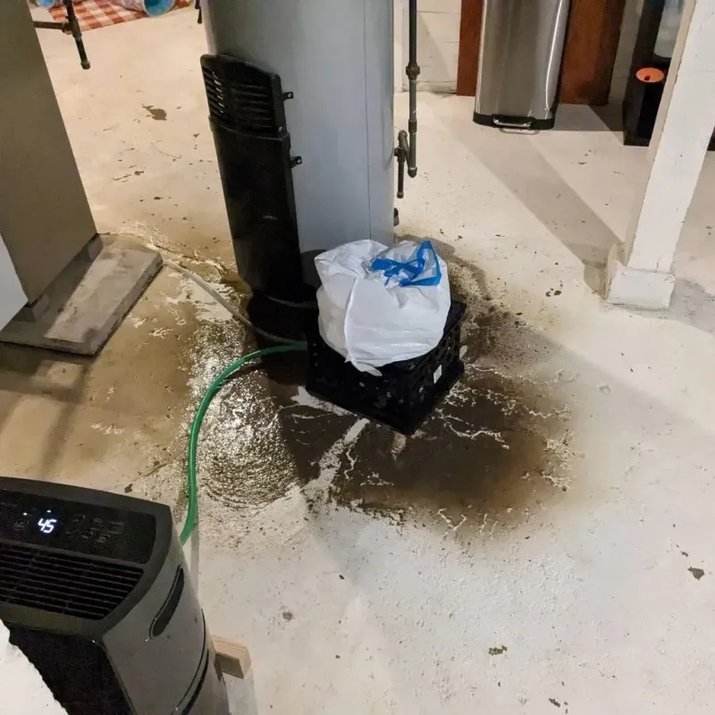 Sewage Backup Cleanup Service in Hickory Withe, TN